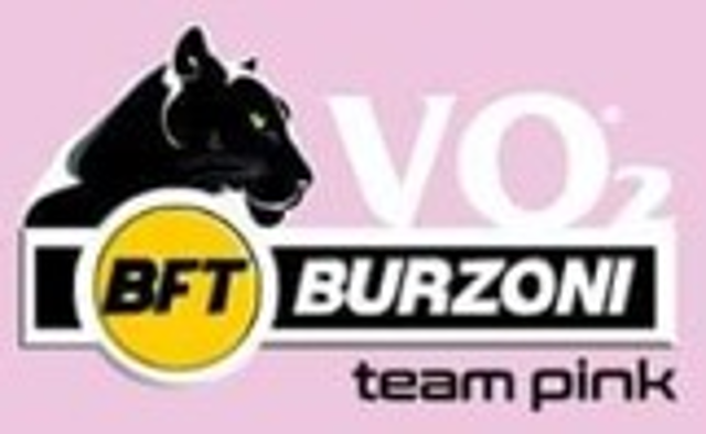 v02 team pink logo